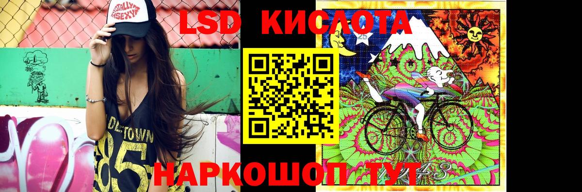 Галлюциногенные грибы Всеволожск