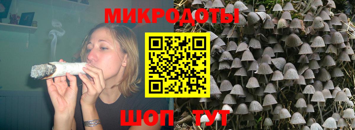 Всеволожск  Псилоцибиновые грибы ЛСД  Вход с VPN 